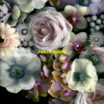 Alpines Full Bloom Review Kritik