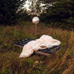 Hippo Campus Warm Glow Review Kritik