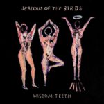 Wisdom Teeth Jealous Of The Birds Review Kritik