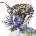 Bibio Ribbons Review Kritik