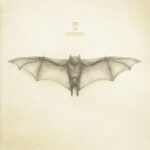 He Is Legend White Bat Review Kritik