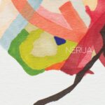Nerija Blume Review Kritik
