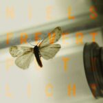 Niels Frevert Putzlicht Review Kritik