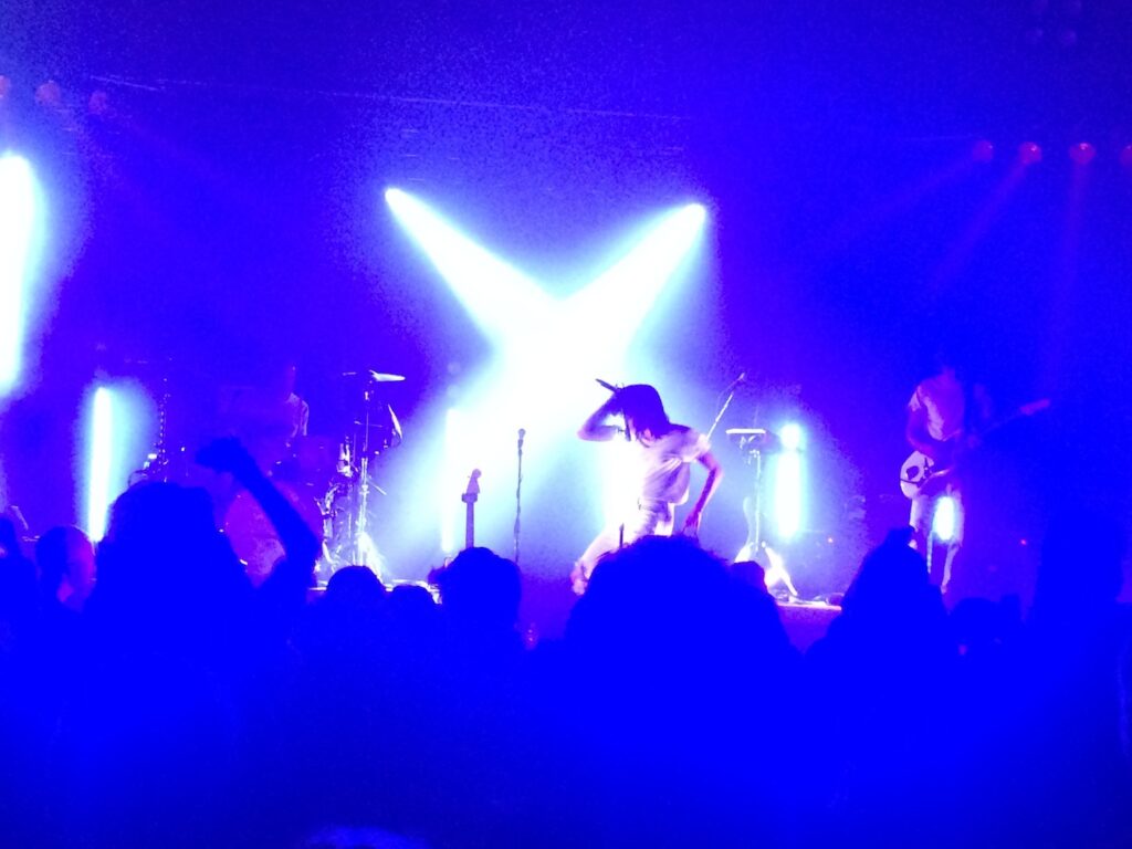 K. Flay Konzert Leipzig