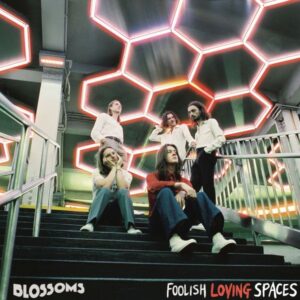 Blossoms Foolish Loving Spaces Review Kritik