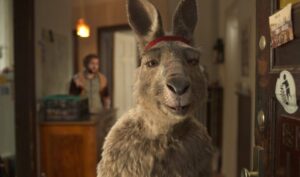 Die Känguru-Chroniken Review Kritik