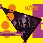 Buzzcocks A Different Kind Of Tension Review Kritik