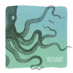 Delta Sleep Twin Galaxies Review Kritik