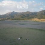 Animal Collective Crestone Review Kritik