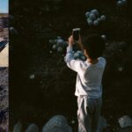 Mega Bog Life, And Another Review Kritik