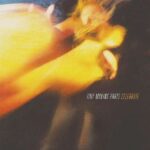 Tiny Moving Parts Celebrate Review Kritik