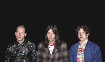 Bandfoto von Die Nerven