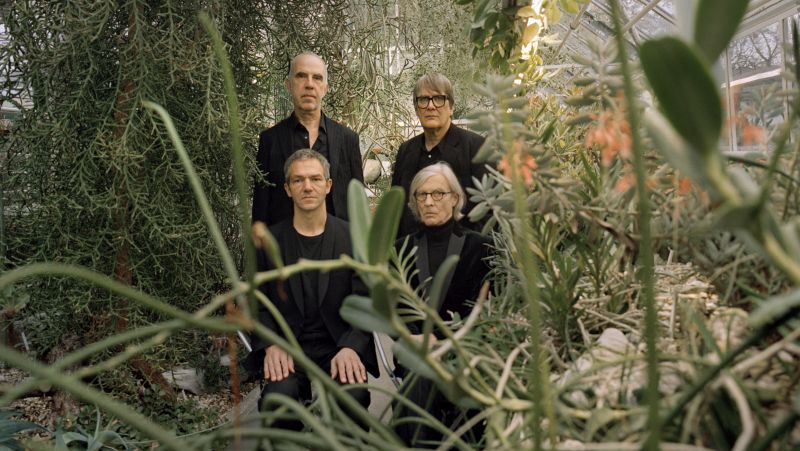 Futter für die Ohren mit Element Of Crime, Deerhoof, Unknown Mortal Orchestra, Jungstötter und The Reds, Pinks And Purples
