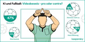 Videoschiedsrichter Kritik