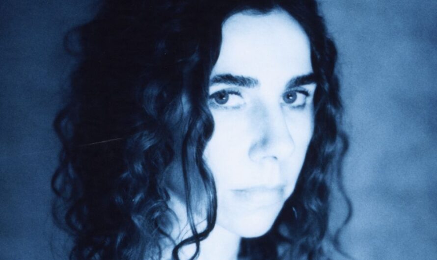 Futter für die Ohren mit PJ Harvey, Texas, Noel Gallagher’s High Flying Birds, Pissed Jeans und I Want Poetry