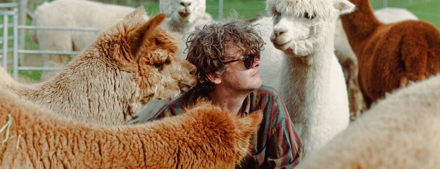 Bill Ryder-Jones – „Iechyd Da“