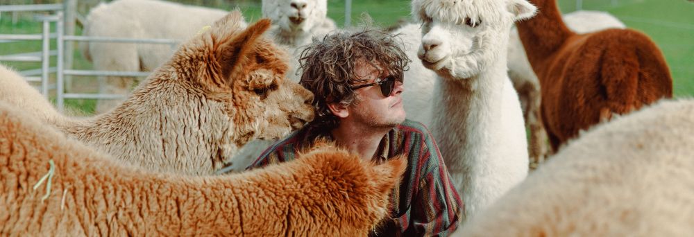 Bill Ryder-Jones Iechyd Da