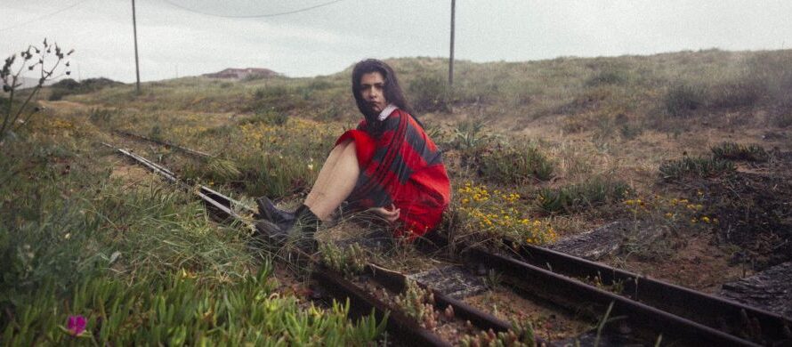 Lily Costa – „Not Like You“