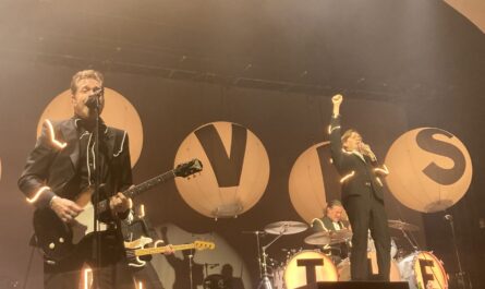 The Hives Black And White Album