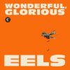 Eels Wonderful Glorious Albumcover