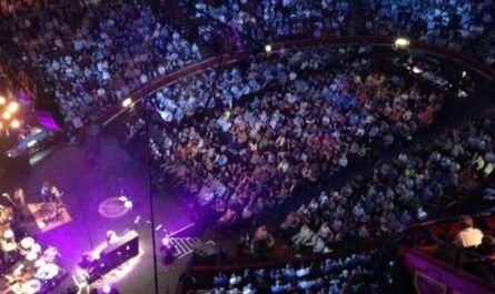 Eels – "Royal Albert Hall"