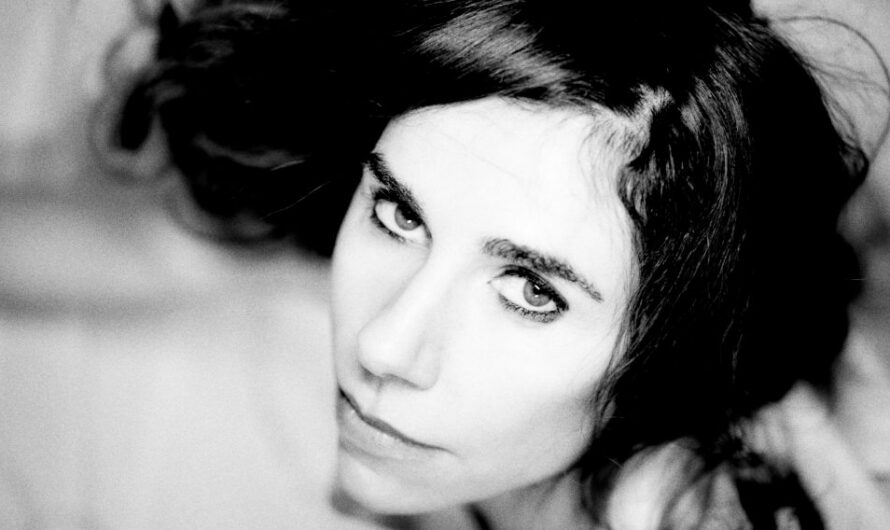 Futter für die Ohren mit PJ Harvey, Julia Holter, Editors, Tiemo Hauer und Bruckner
