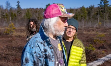 Dinosaur Jr. Several Got Away